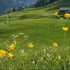 user.karam8