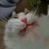 clusterscare