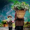 omameer8113