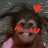 pem__kb