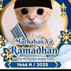 mr.saiful.775