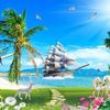 dragonvn8.24