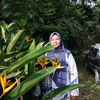 sarina.ariffin