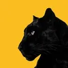 blackjaguar14