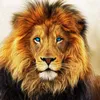 Animal World