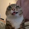 user71121292801933