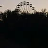 veselkin_2011