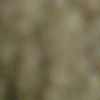 user5461532445986