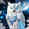 leandrobogado12345
