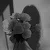 ghym_77m
