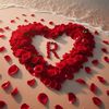 romeo1155