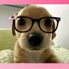 jade_mariz1