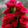 mahirerammu29