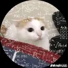 duykhanhkk12