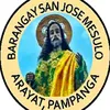 john.francis.ange