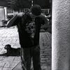 letr_lard12
