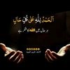 aamirnarejo25