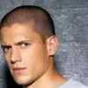 scofield._.micheal