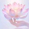 ying.fong.lee