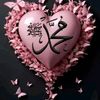 user45262795810706