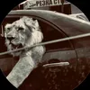 yad_rebaz24