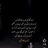 juttdijan904