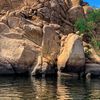 badr.5607