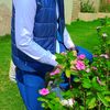 shahruk.malik79