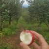 sweetlikeapple23