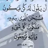 umu.majid84