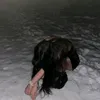 kiri.viri