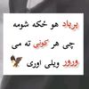 313badnam7