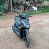 dandi4566