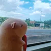 quangbip29