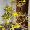 haidang.haidang3