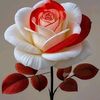 md.sohel.rana4899