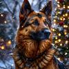 germanyshered.1