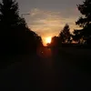 lenx_truskawka