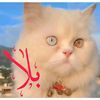 billa.c110