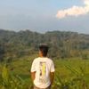 yrk16real