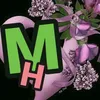 mahmud.mahmud5607