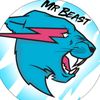mr.beast.310