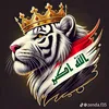 ali.313552