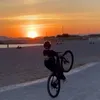 mathieu_269
