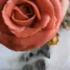 pétale de sucre