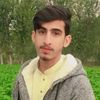 umar.safi953