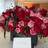 tamy6795