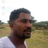 user7486599018012
