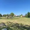 arion1_2