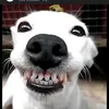 leozinho.12340
